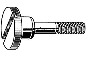 DIN464 SZ Slotted knurled thumb screws with collar TYPE SZ 開槽滾花螺釘